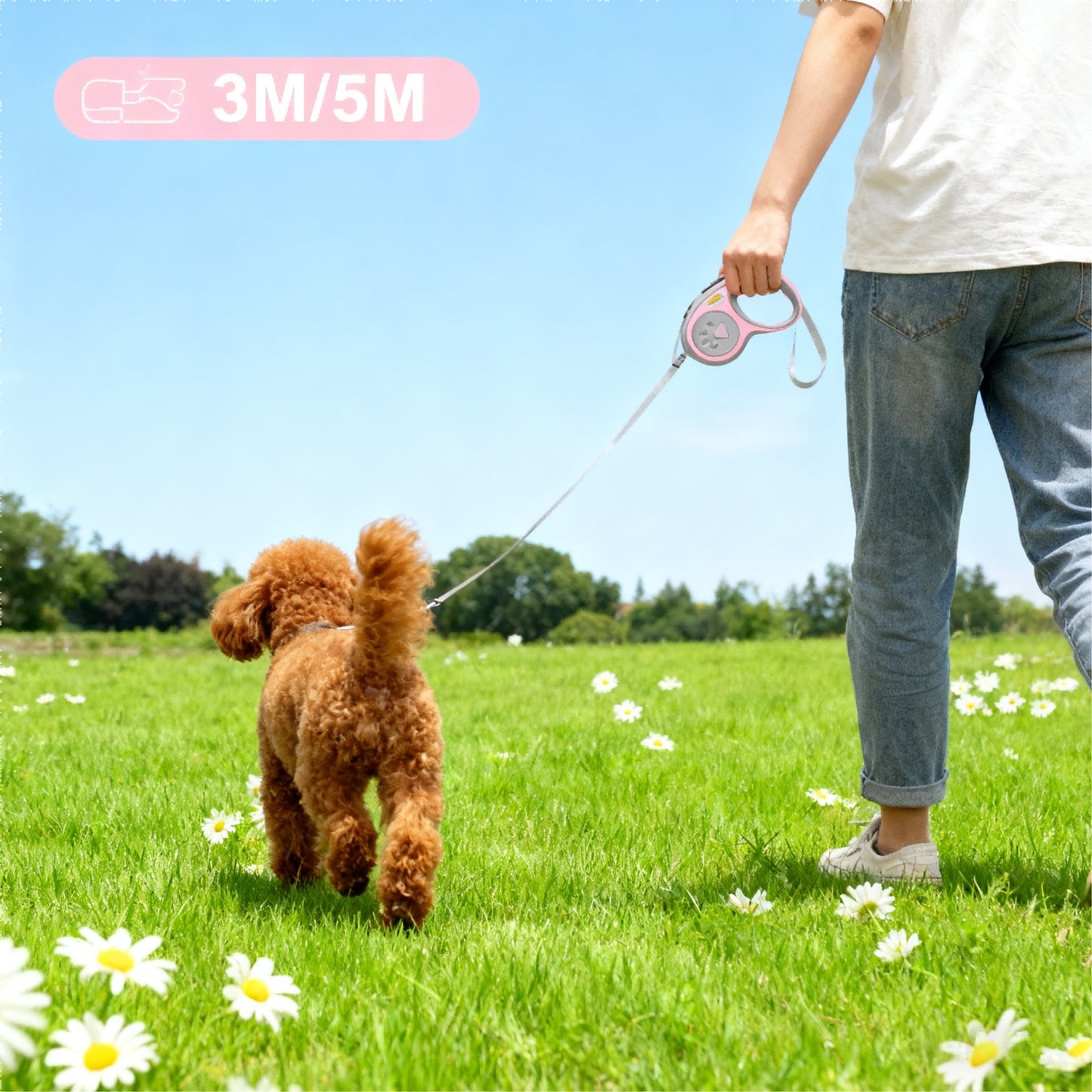 The Puppy's 3,5-meter Nylon Dog Skin Automatically Expands And The Durable Cat Cable  Mystery Box In Color